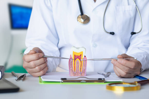 Best Emergency Dentist for Knocked-Out Tooth in Buffalo, SC